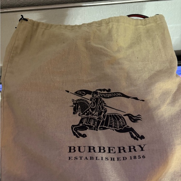 Red Burberry snakeskin crossbody. Large size. - Picture 6 of 6